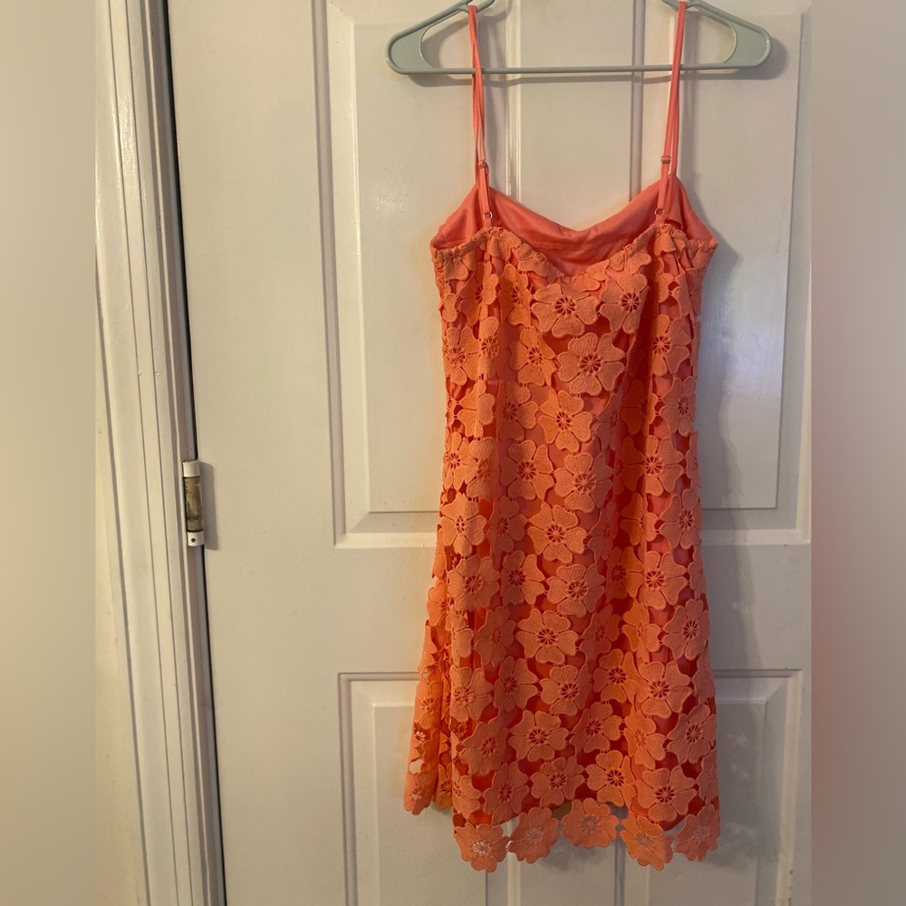 Petal & Pup Pink Floral Mini Dress - Picture 10 of 13